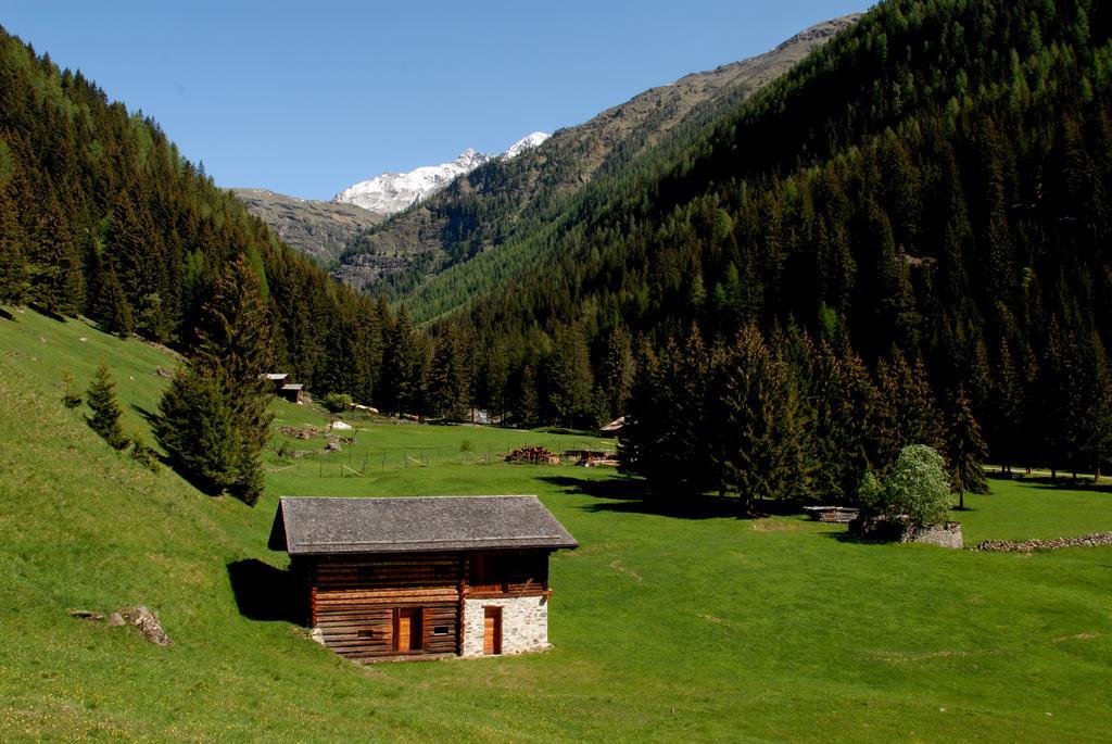 Alpen Hotel Rabbi Buitenkant foto